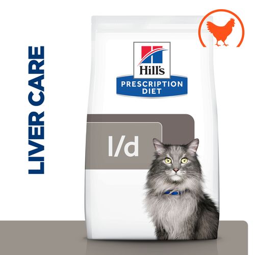 best place to buy fromm dog food Fromm Family Four Star Beef Frittata Dog Food