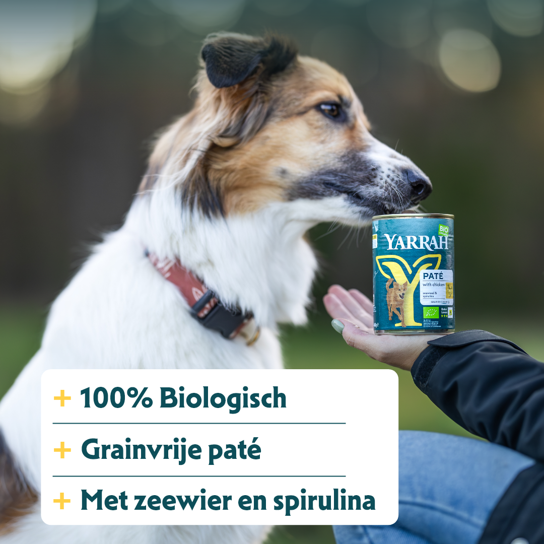 Yarrah - Paté Hond Blik met Kip Bio