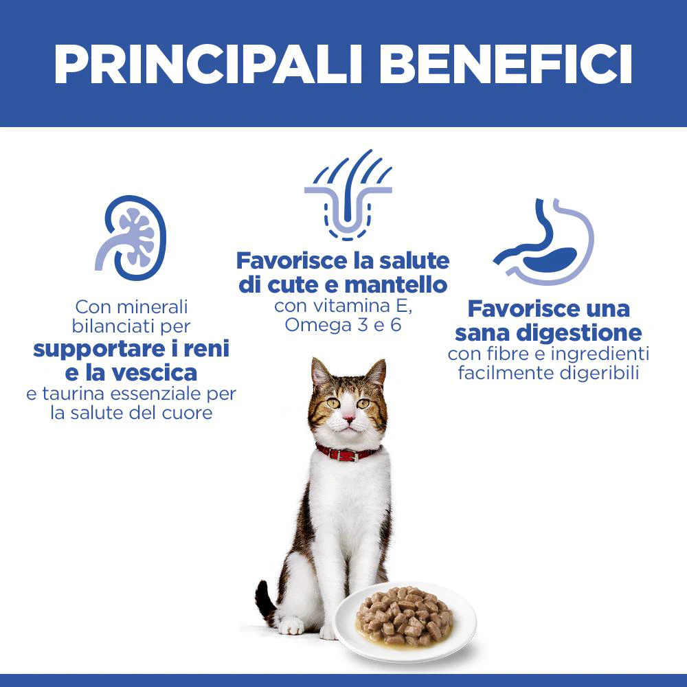 Hill's Science Plan Mature Adult - Pesce Marino - Bustina Pasto