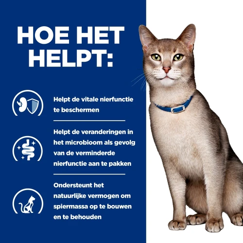 Hill's k/d Kidney Care - Prescription Diet - Feline