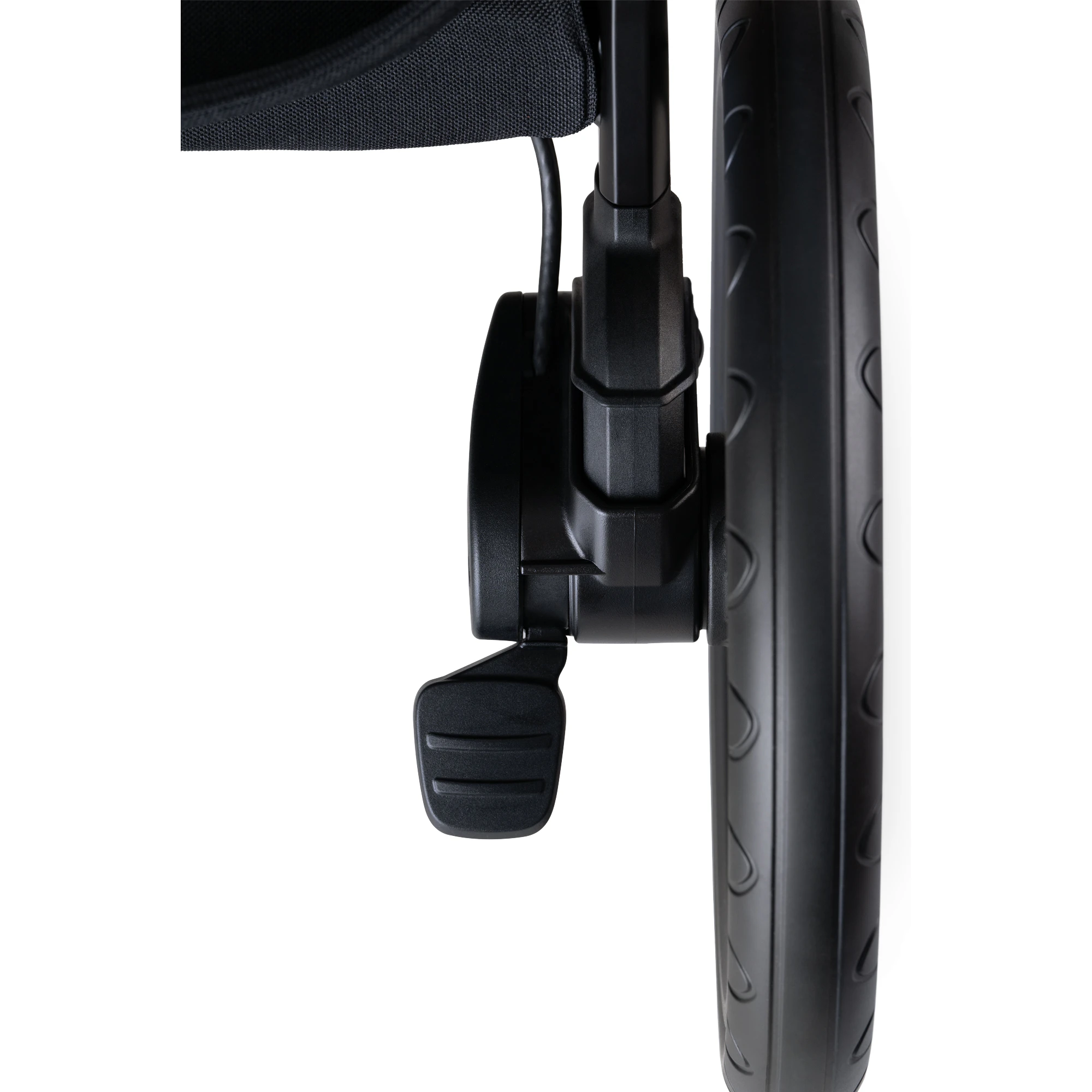 Tavo Pets Roscoe Trek