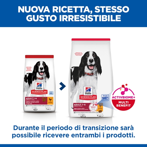 Hill's Science Plan - Medium - Adult - Pollo