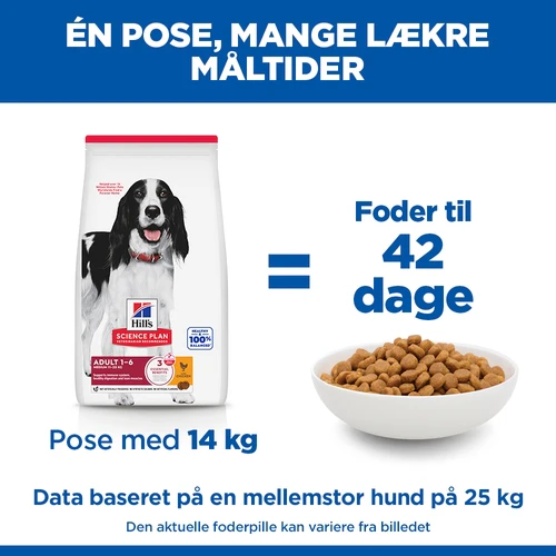 Hill's Science Plan - Medium - Adult - Kylling