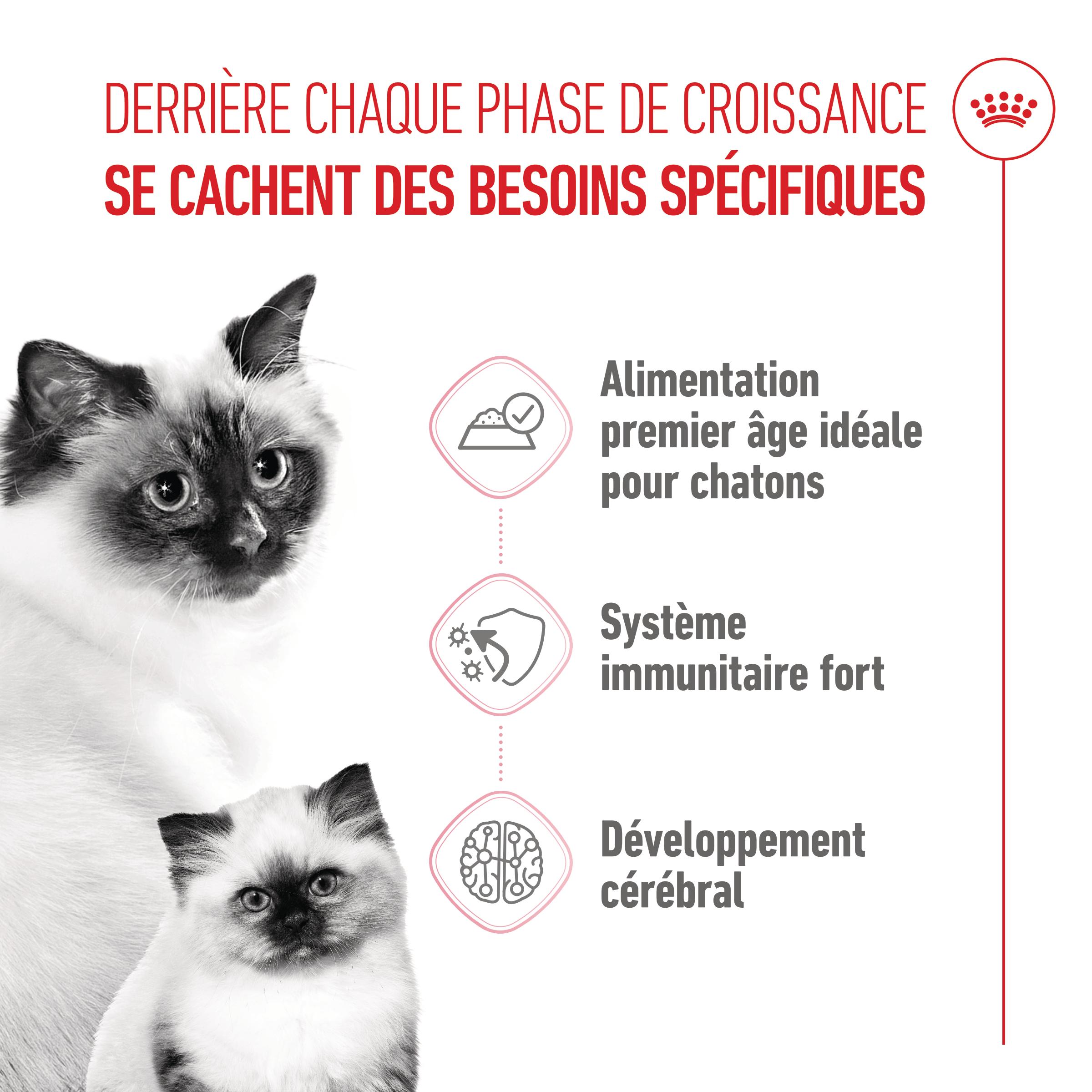 Royal Canin Mother & Babycat Ultra Soft Mousse - Boîte