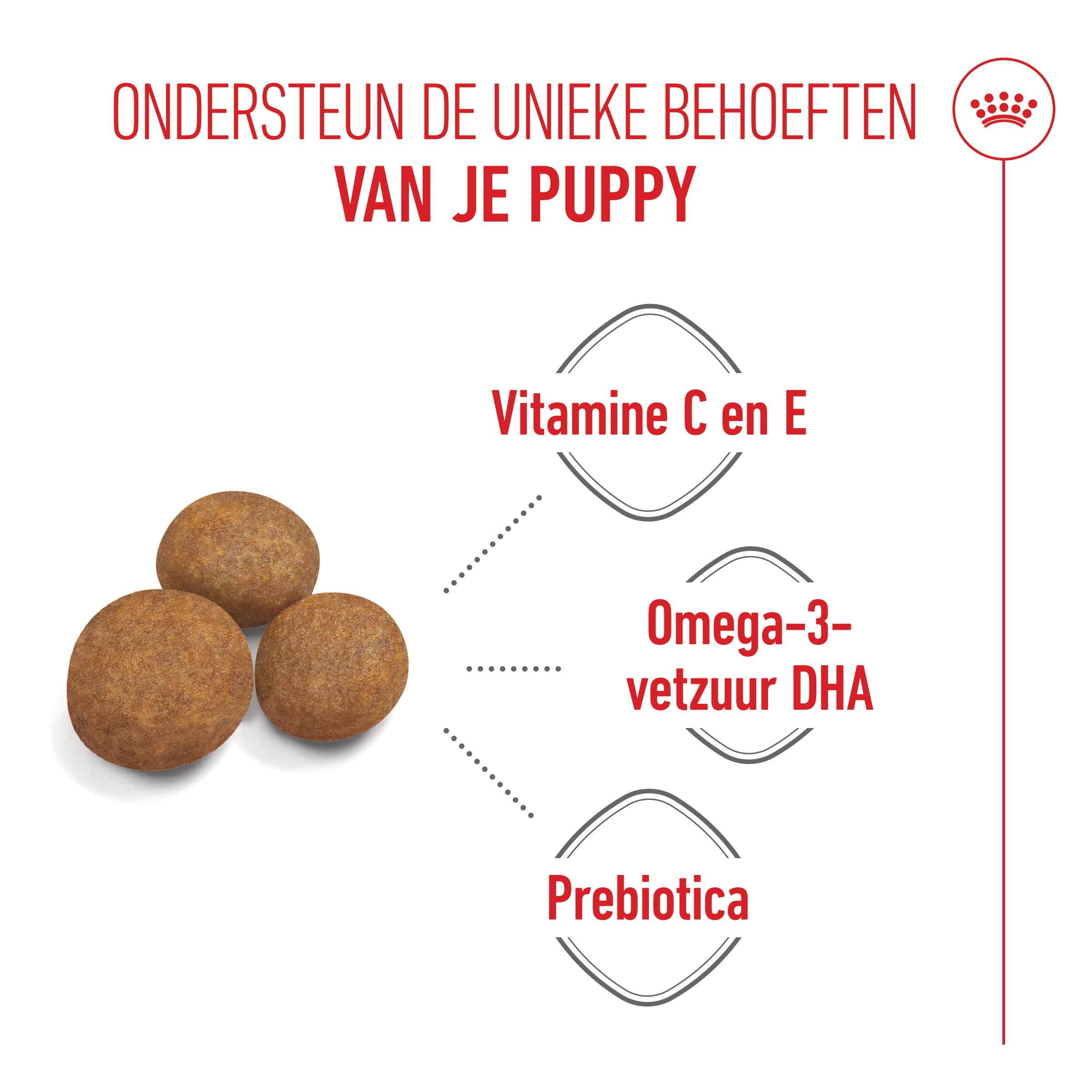 Royal Canin Maxi Puppy - Hondenvoer