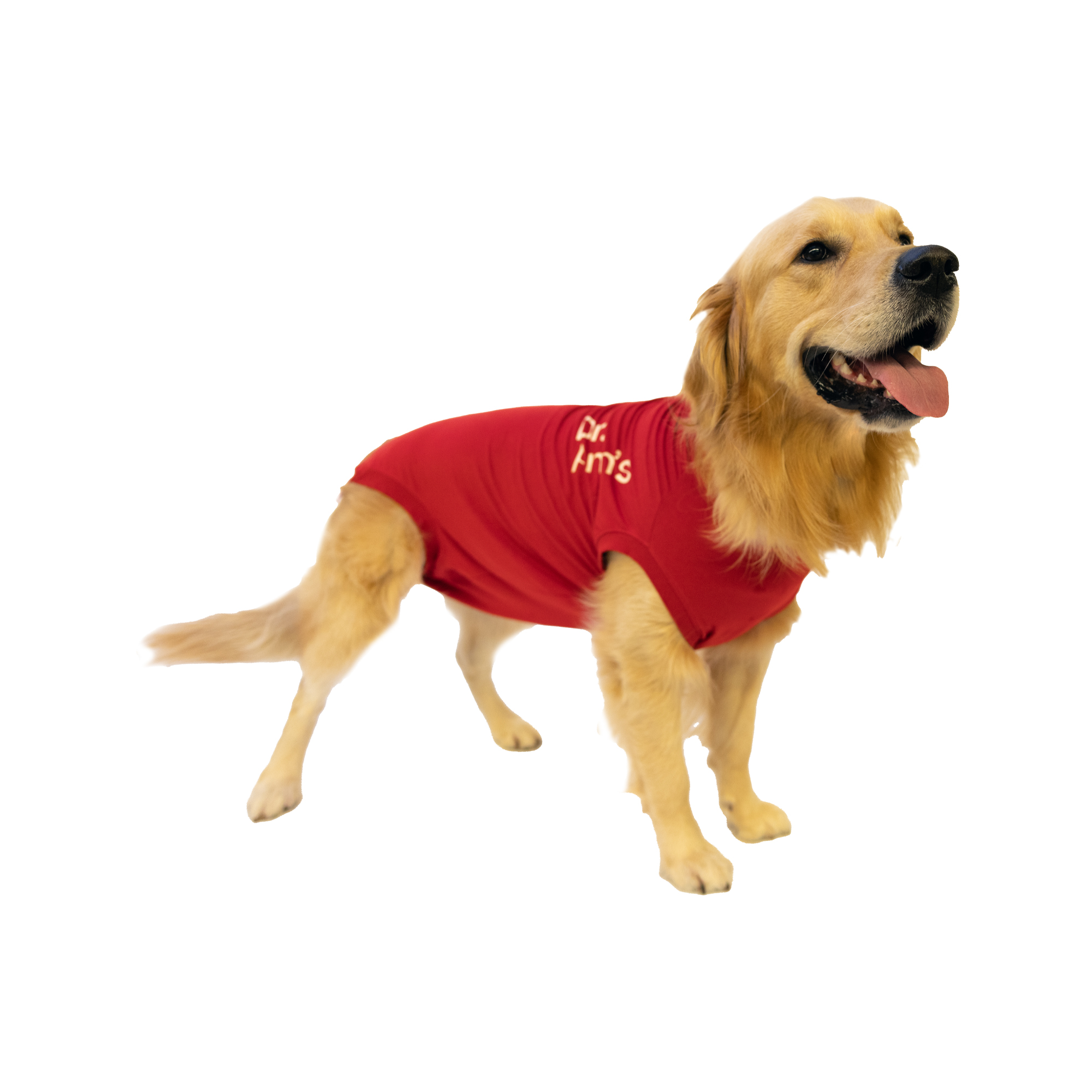 Dr. Ann's Protective Shirt Dog