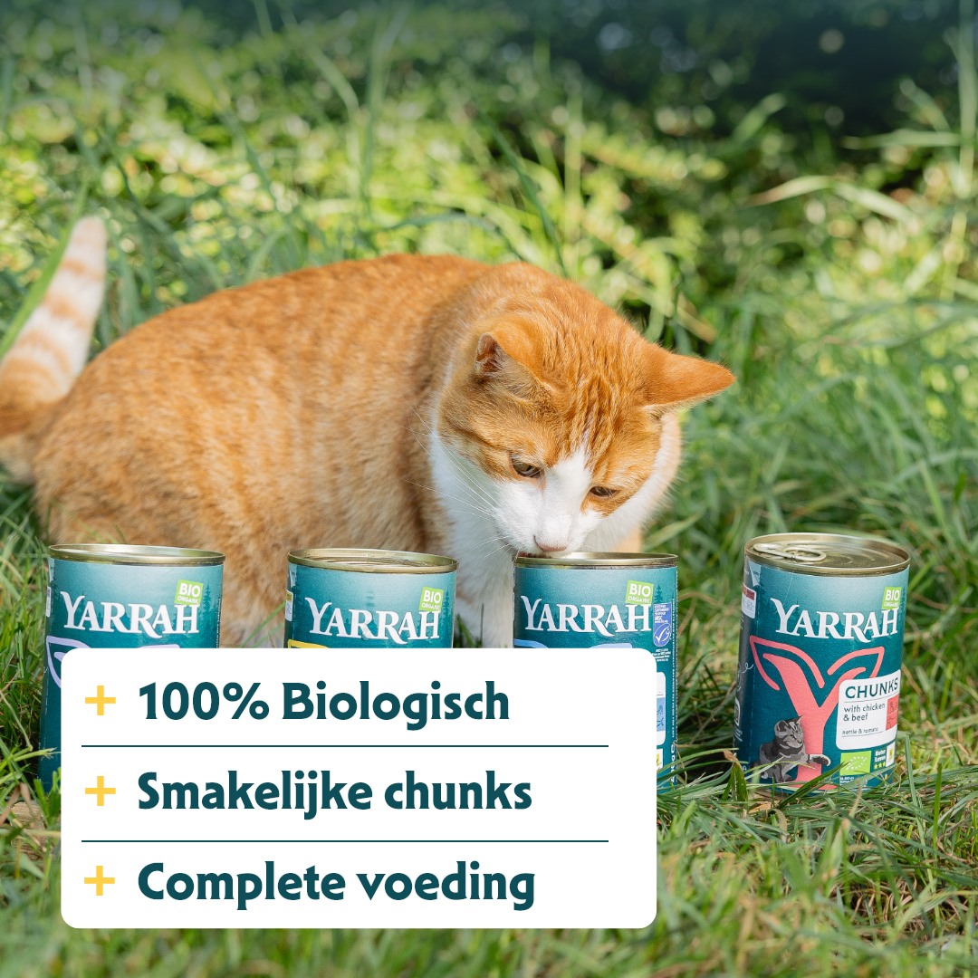 Yarrah - Natvoer Kat Blik Chunks met Kip & Rund Bio