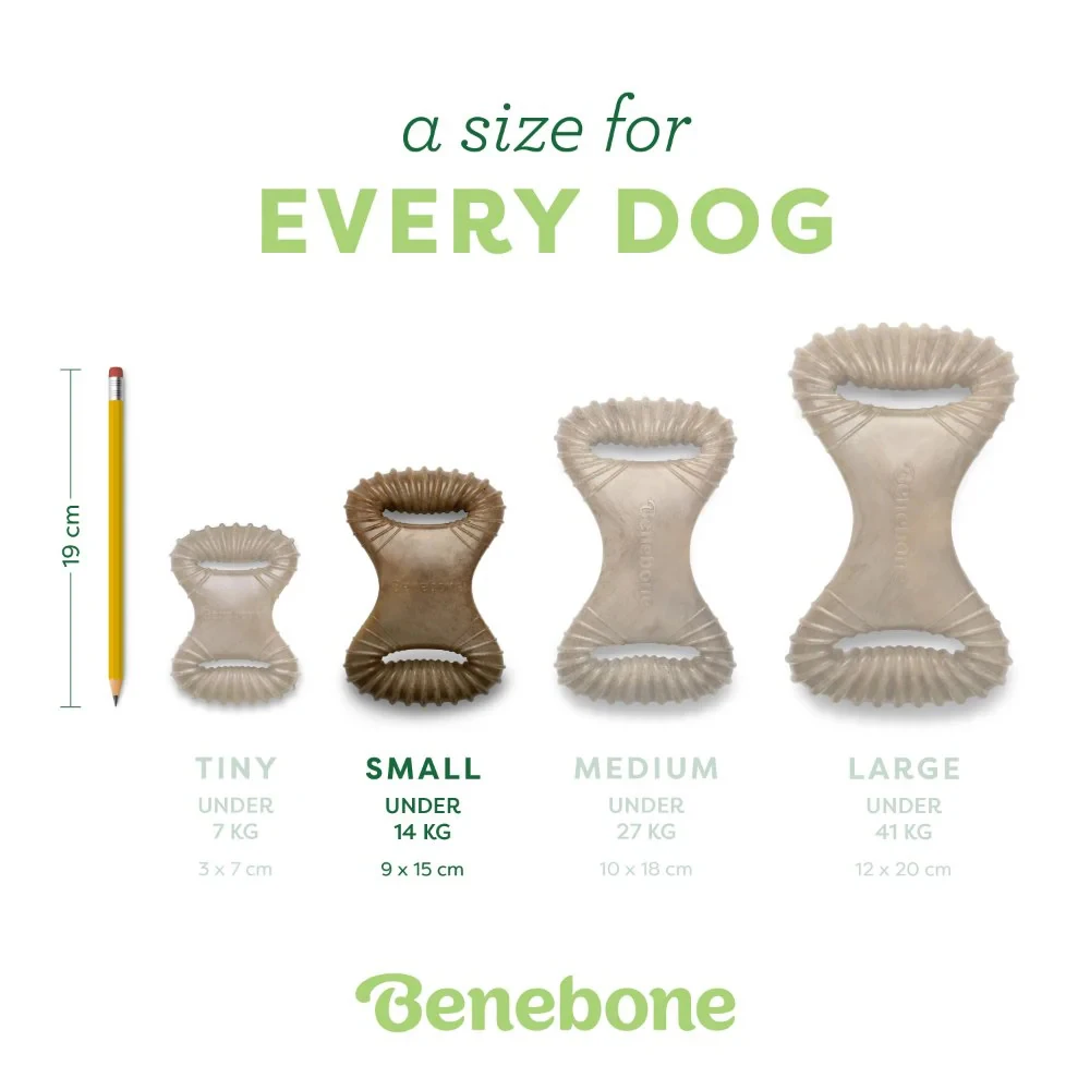 Benebone Dental Chew