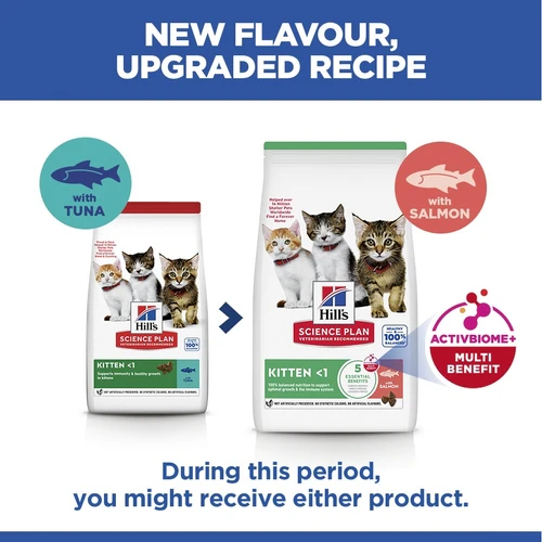 Hill's Science Plan - Kitten - Salmon