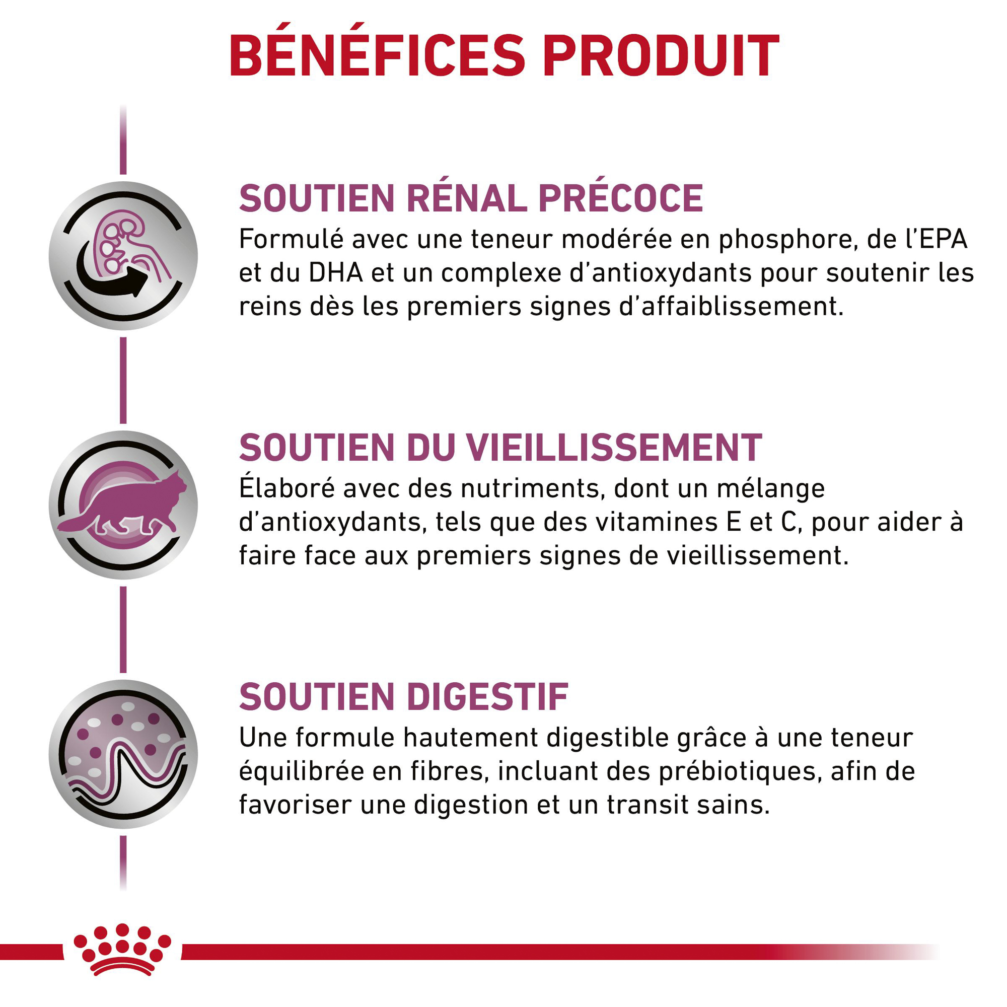 Royal Canin Early Renal in Gravy - Alimentation pour Chats