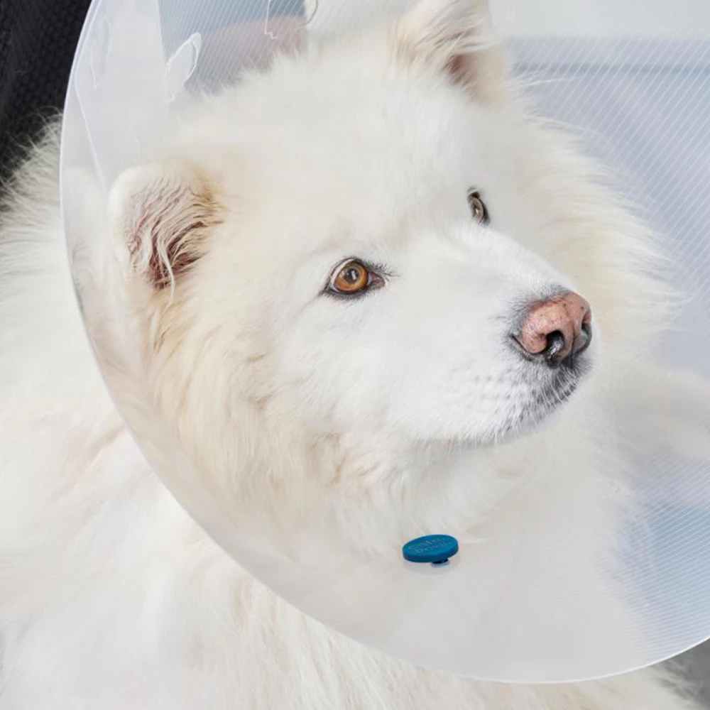 Kruuse CalmDown Post-Op Tag & Button Pies