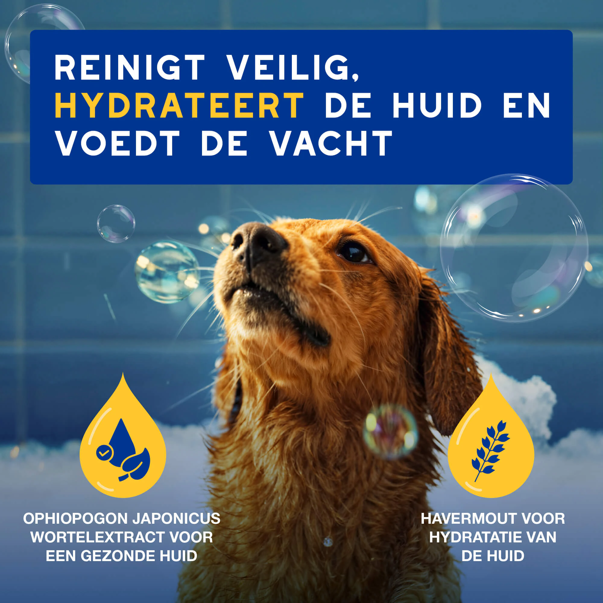 Douxo Spa Hydraterende Shampoo