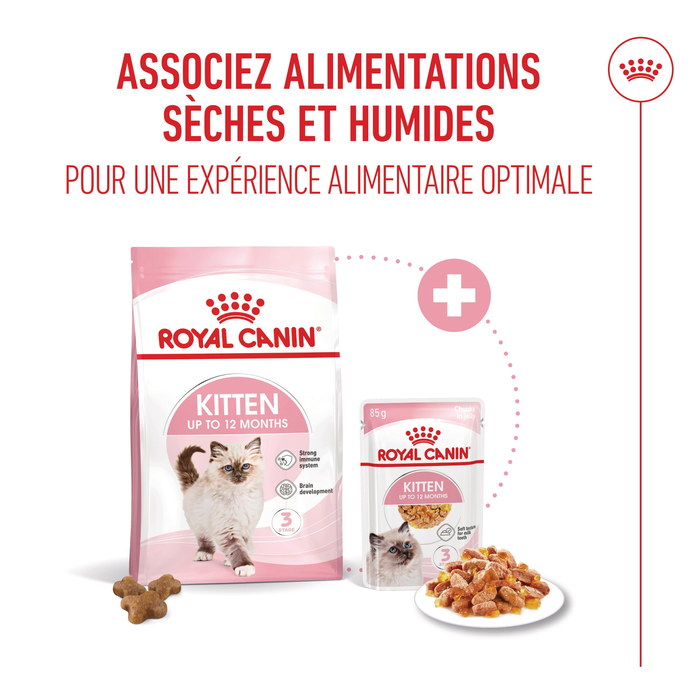 Royal Canin Kitten Jelly - Sachet