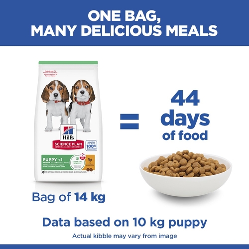 Hill's Science Plan Puppy Medium Chicken