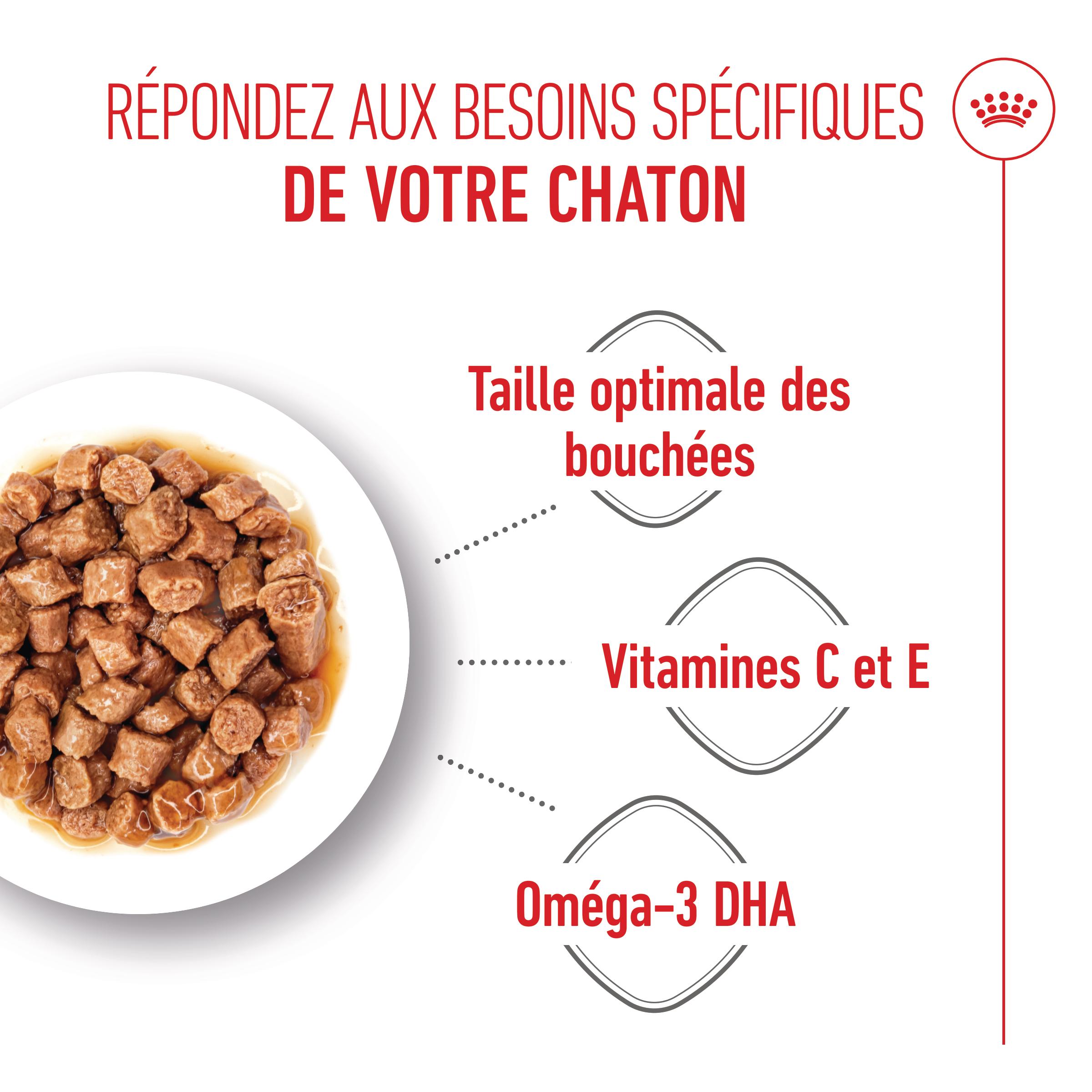 Royal Canin Gravy - Chaton - Sachet