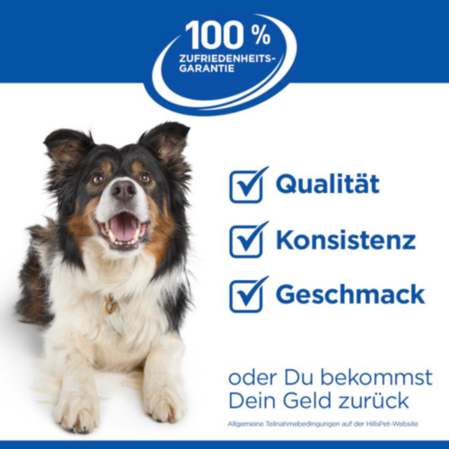 Hill's Science Plan Hypoallergenic Adult Hundefutter Lachs – Dose