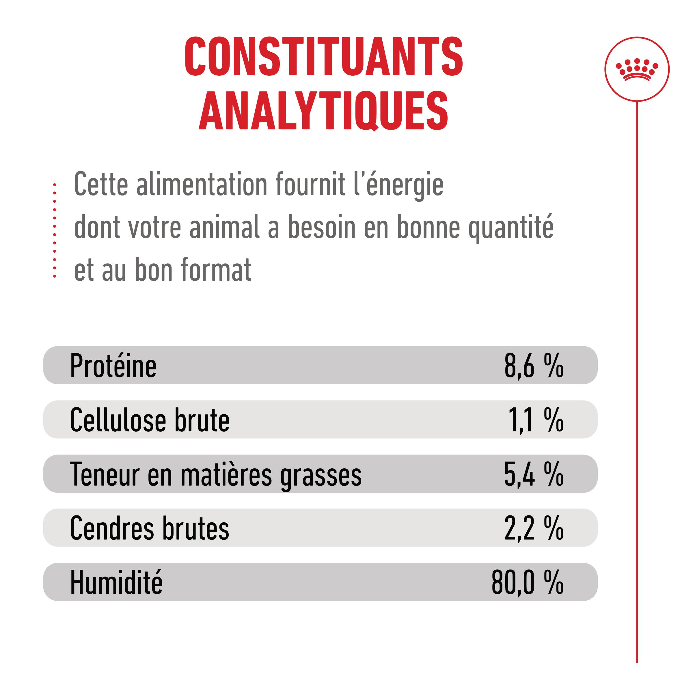 Royal Canin French Bulldog Loaf - Sachet repas