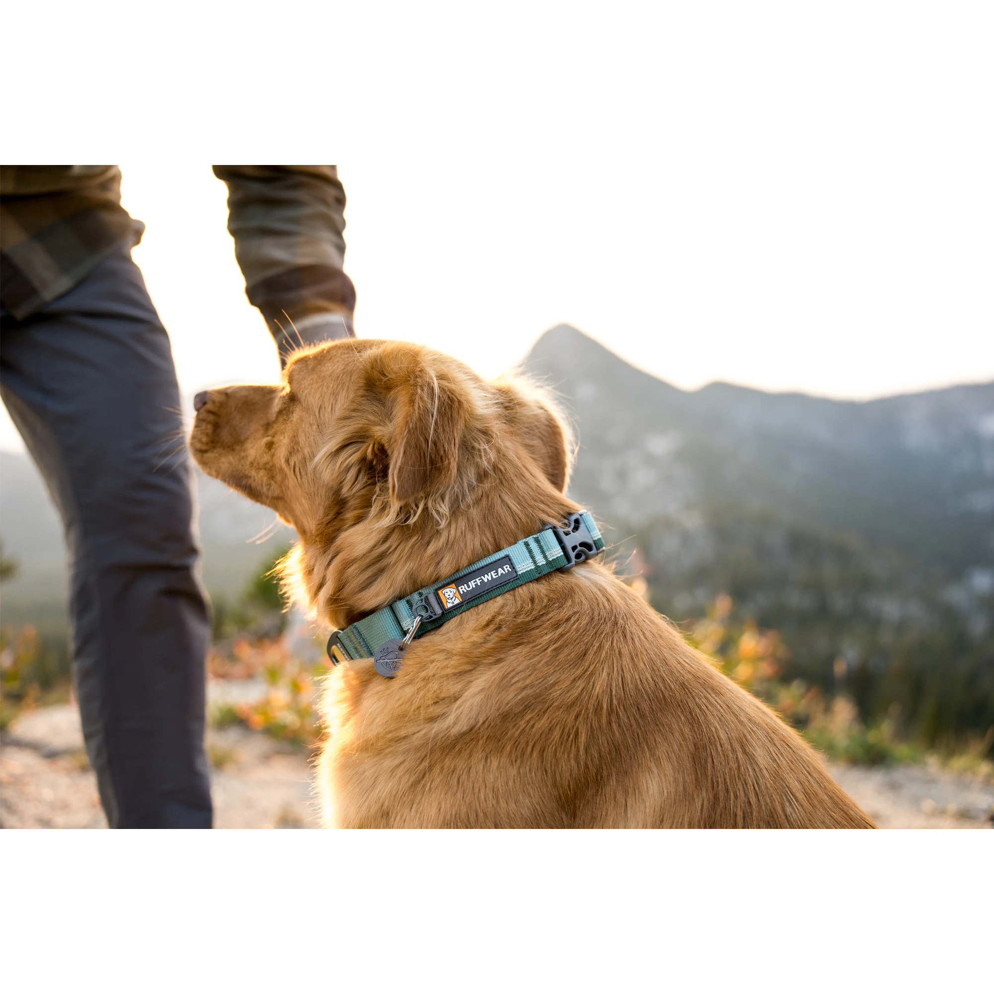 Ruffwear Web Reaction Collare