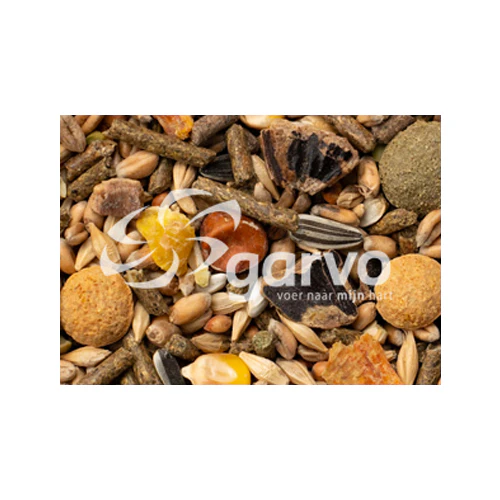 Garvo Mélange pour rongeurs