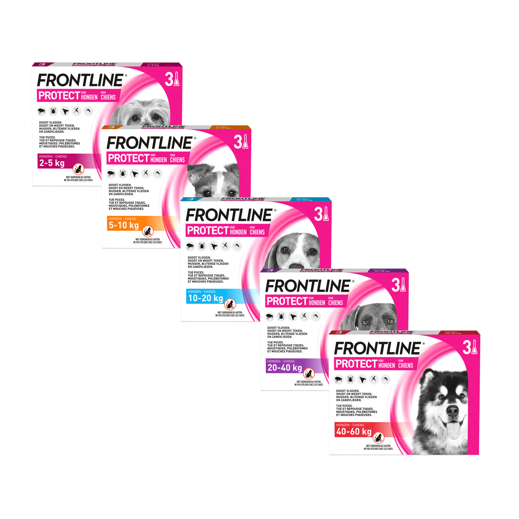 Frontline Protect Hond Spot On