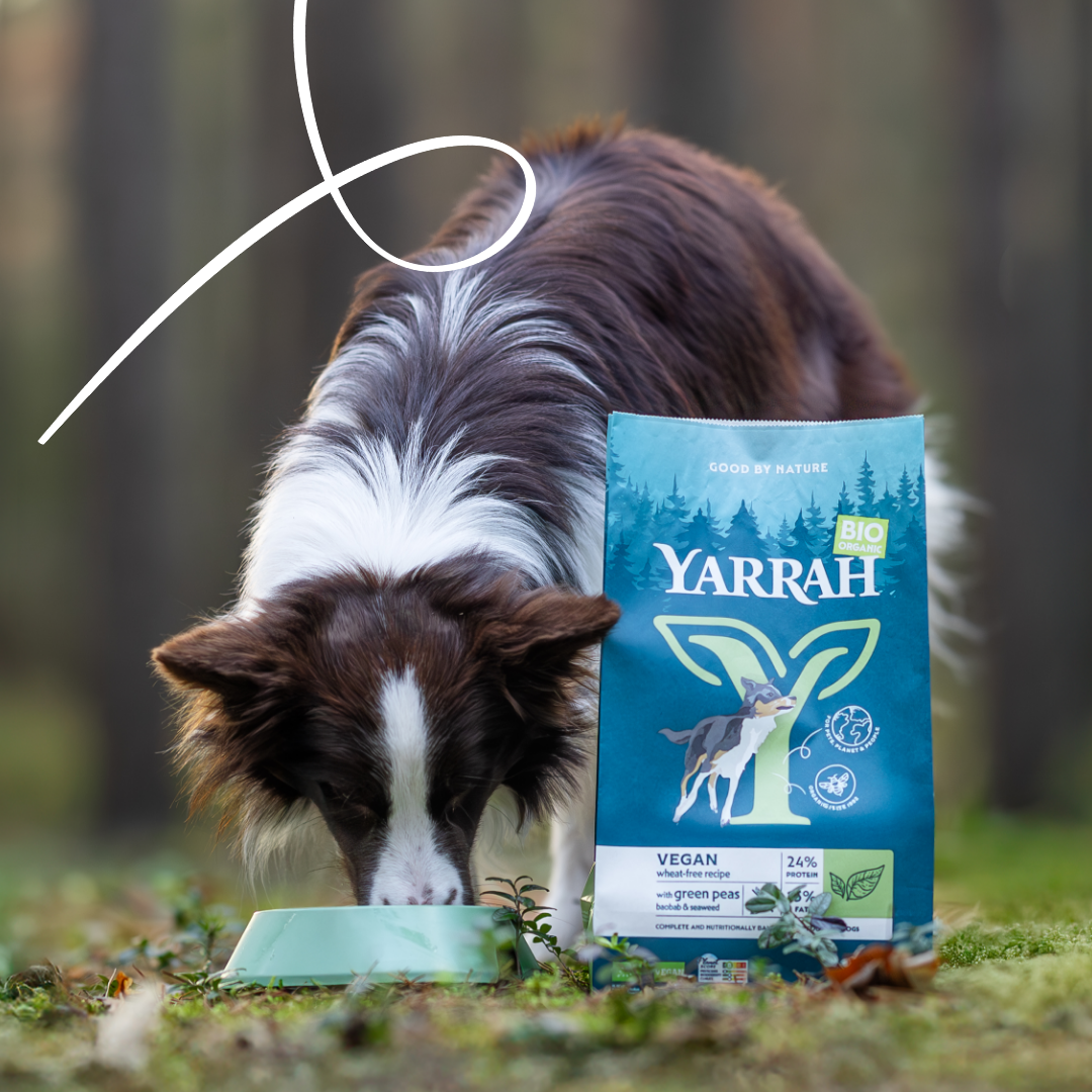 Yarrah Vega Bio Ultra Sensitive Weizenfrei Hundefutter