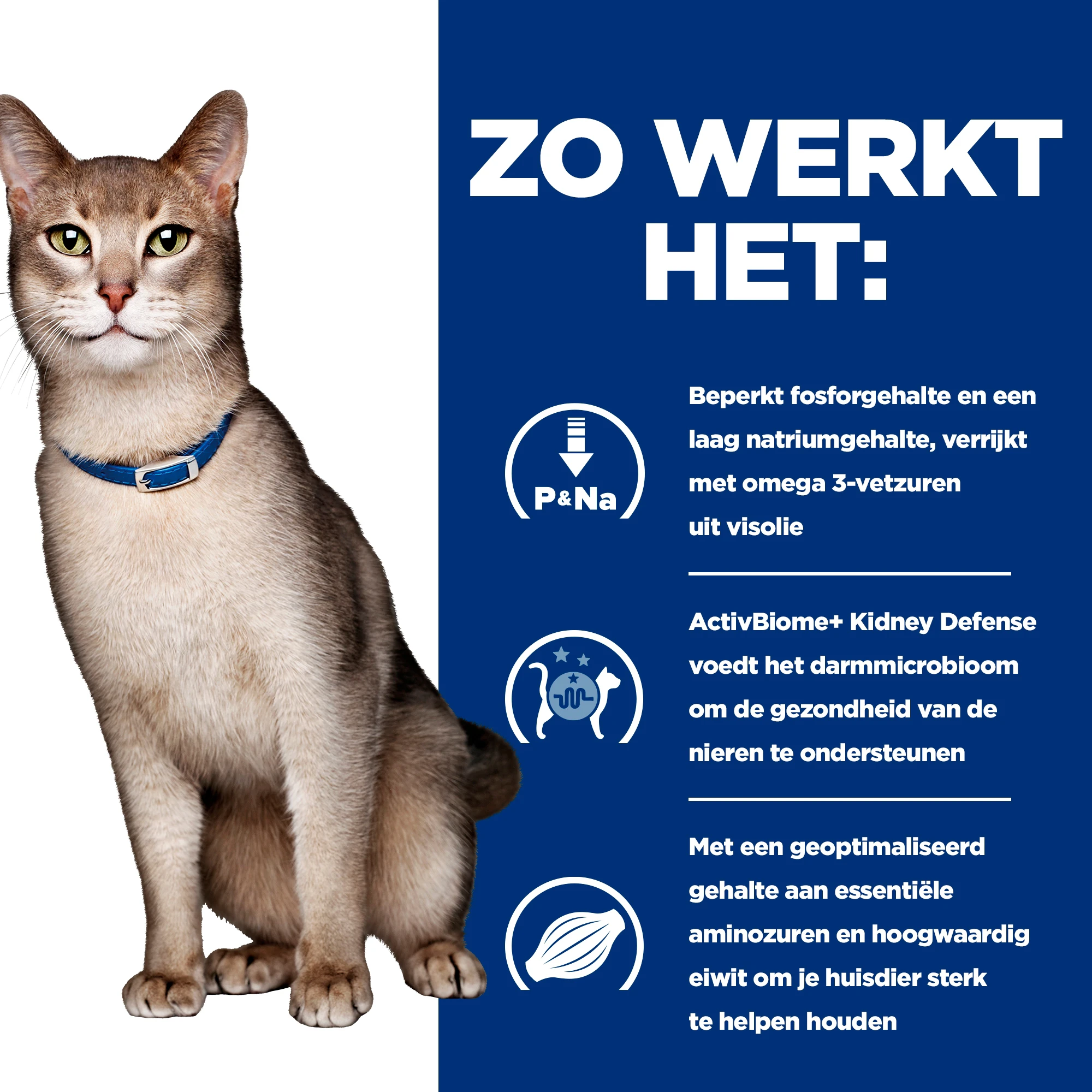 Hill's k/d Kidney Care - Prescription Diet - Feline - Mousse
