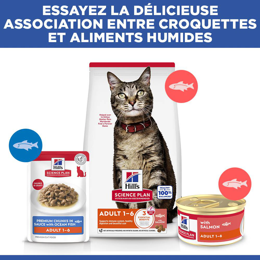 Hill's Science Plan Feline Adult Premium Mousse - Saumon