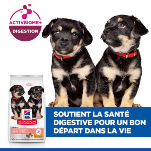 Hill's Science Plan Puppy Perfect Digestion Medium Aliment pour Chien