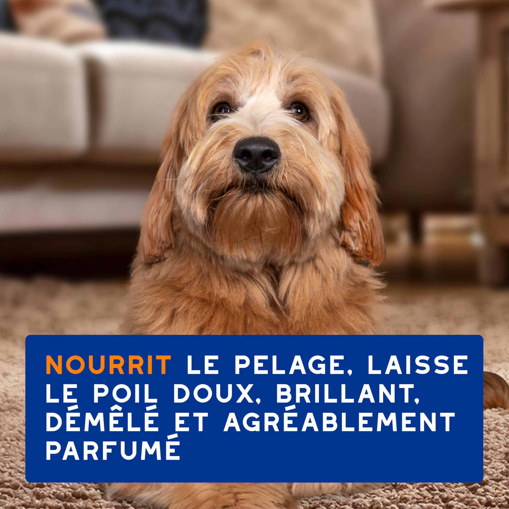 Douxo - Spray Spa Démêlant