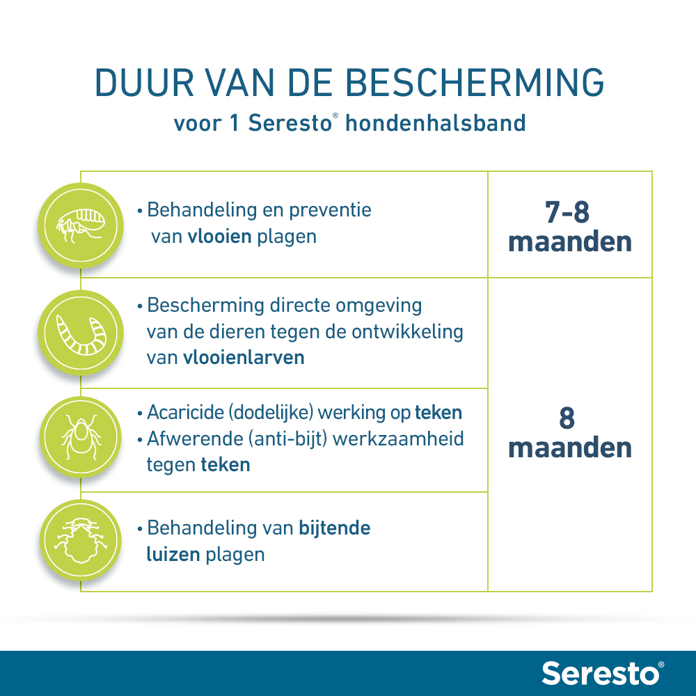 Seresto Hond