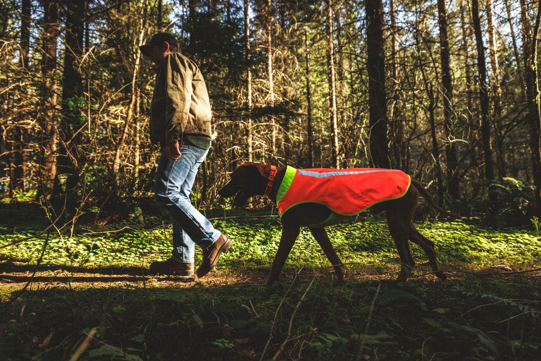 Ruffwear Lumenglow High-Vis Vest