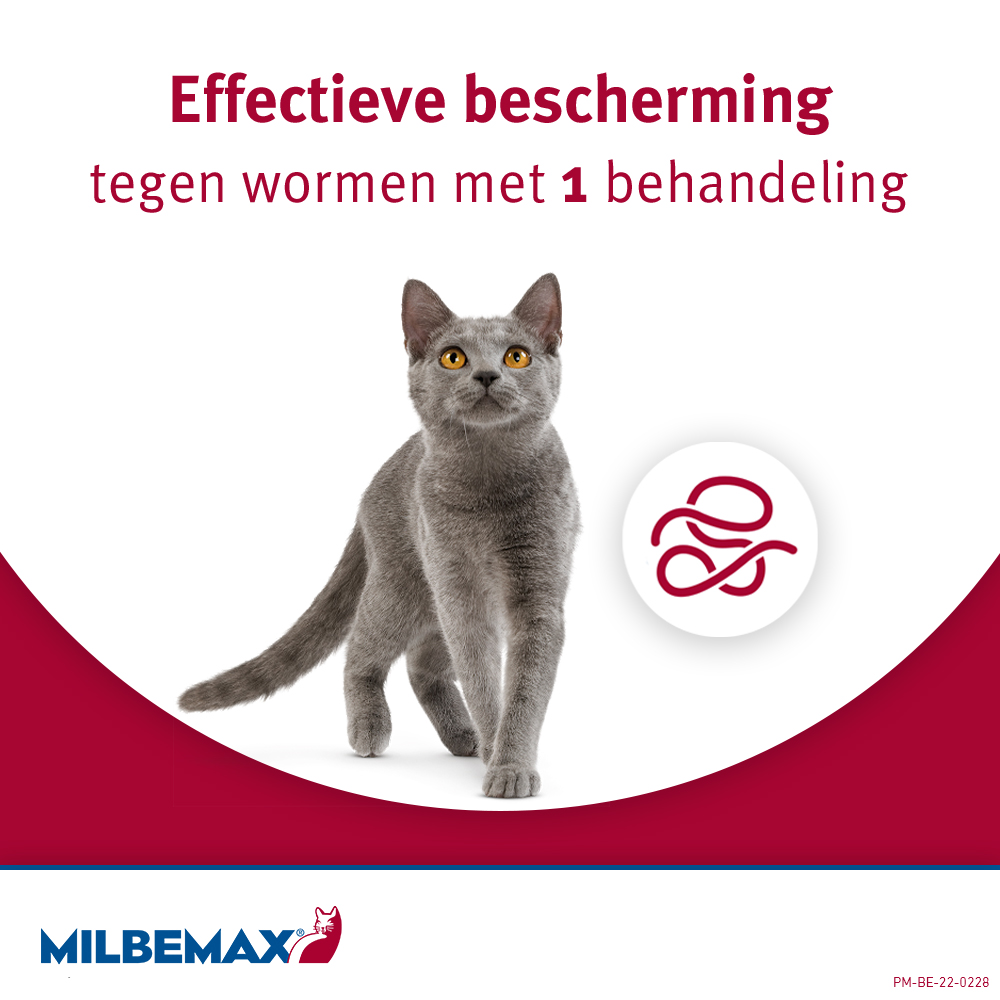 Milbemax Kat