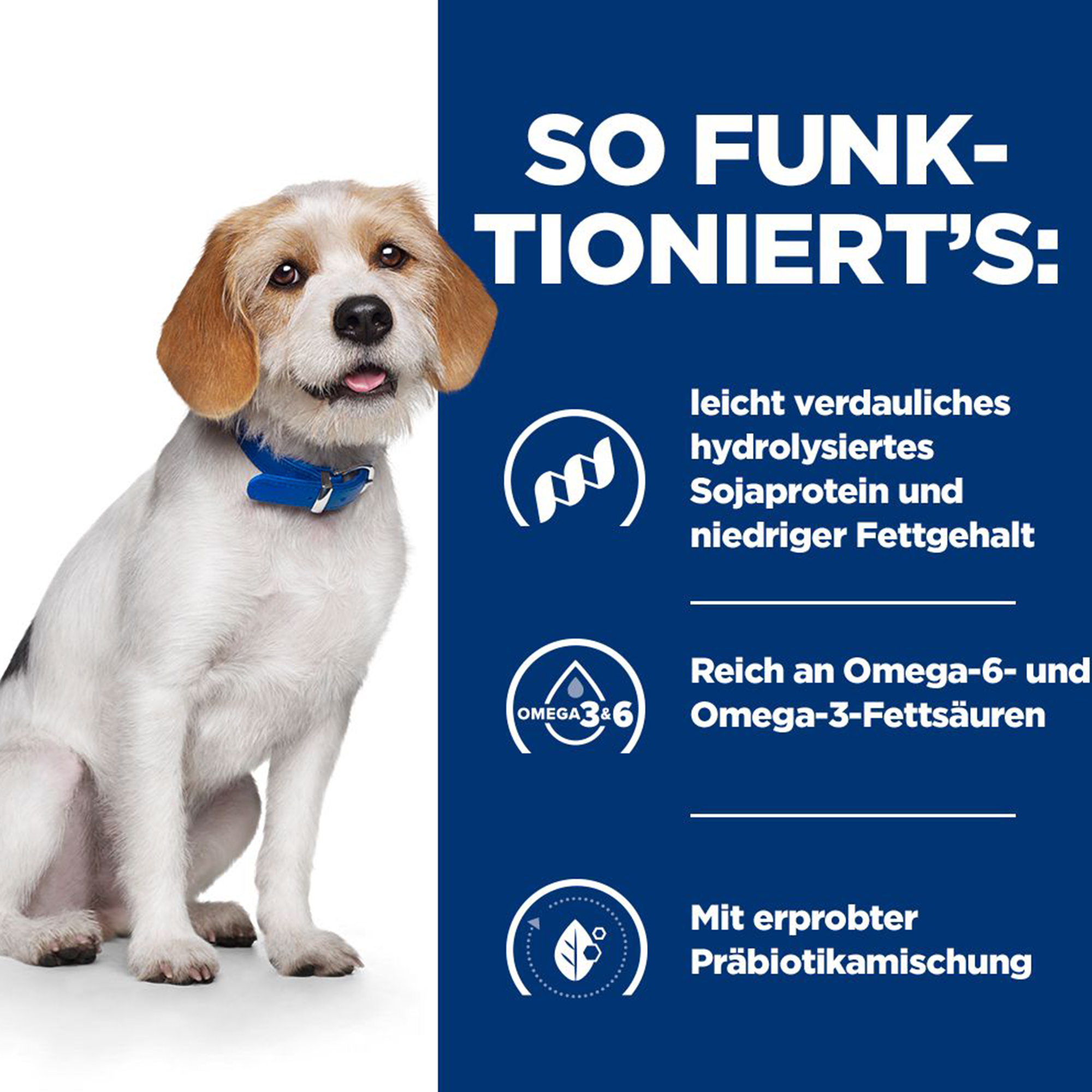 Hill's z/d Low Fat Food Sensitivities - Prescription Diet - für Hunde