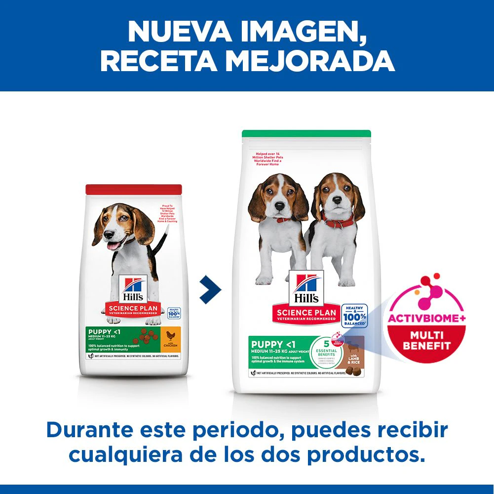 Hill's Science Plan - Puppy - Medium - Cordero y Arroz