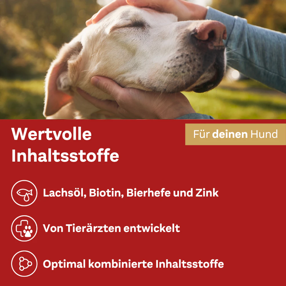Doppelherz Skin & Coat Complex for Dogs
