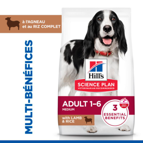 Hill's Science Plan Medium - Adulte - Agneau & Riz