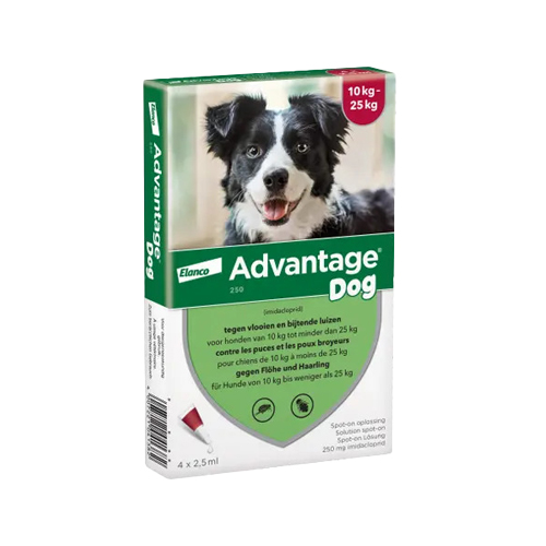 Advantage Hond