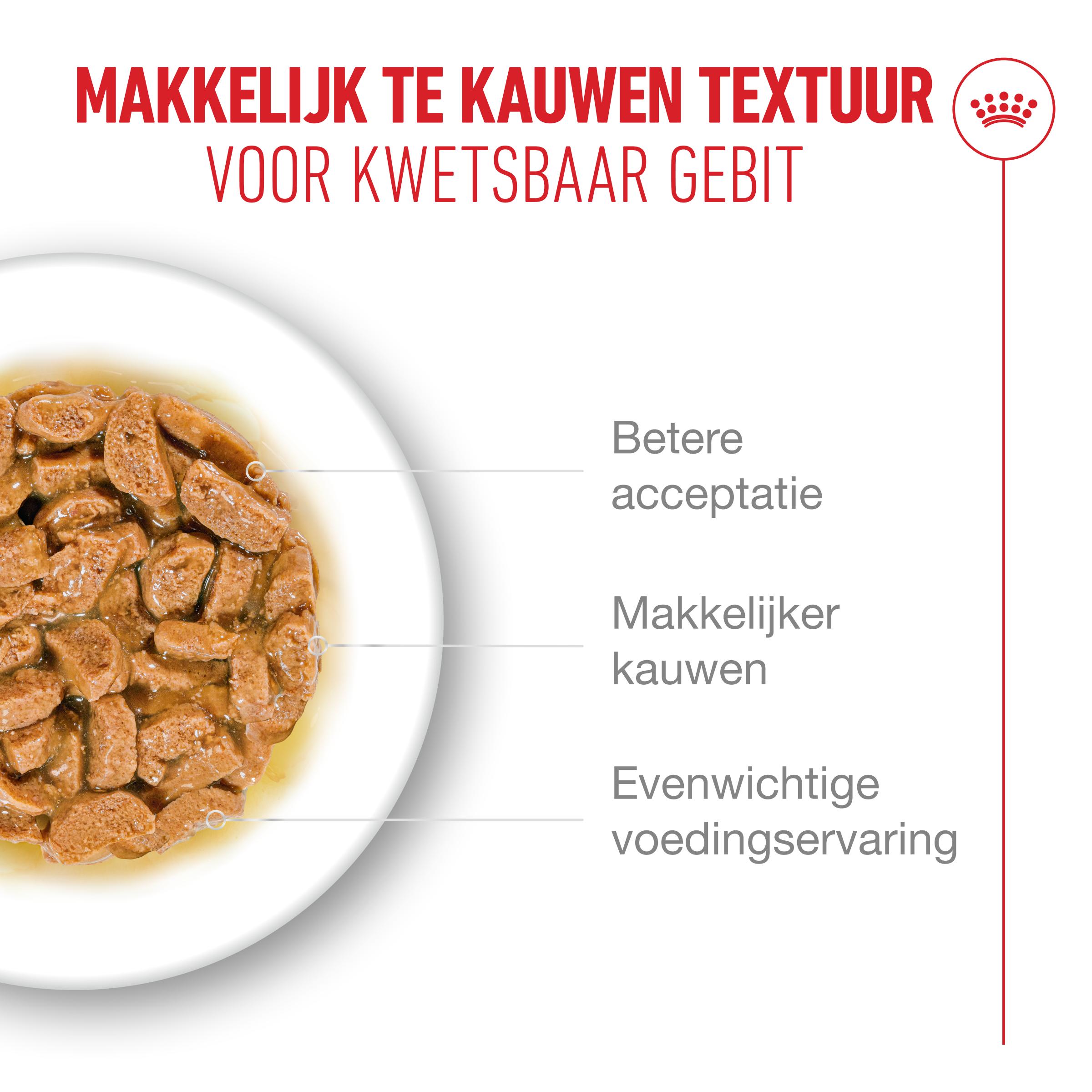 Royal Canin Ageing 11+ in Saus - Kattenvoer