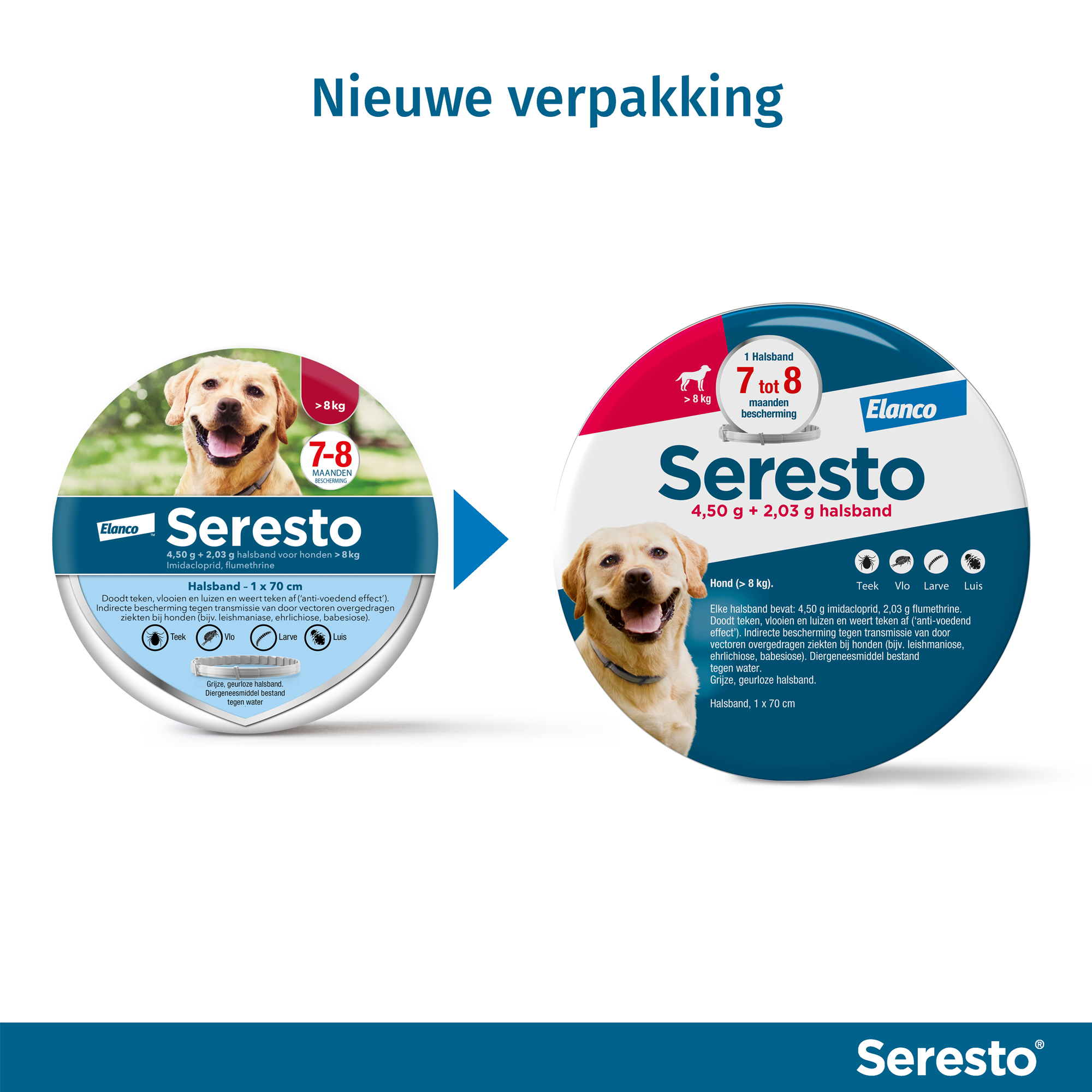 Seresto Hond