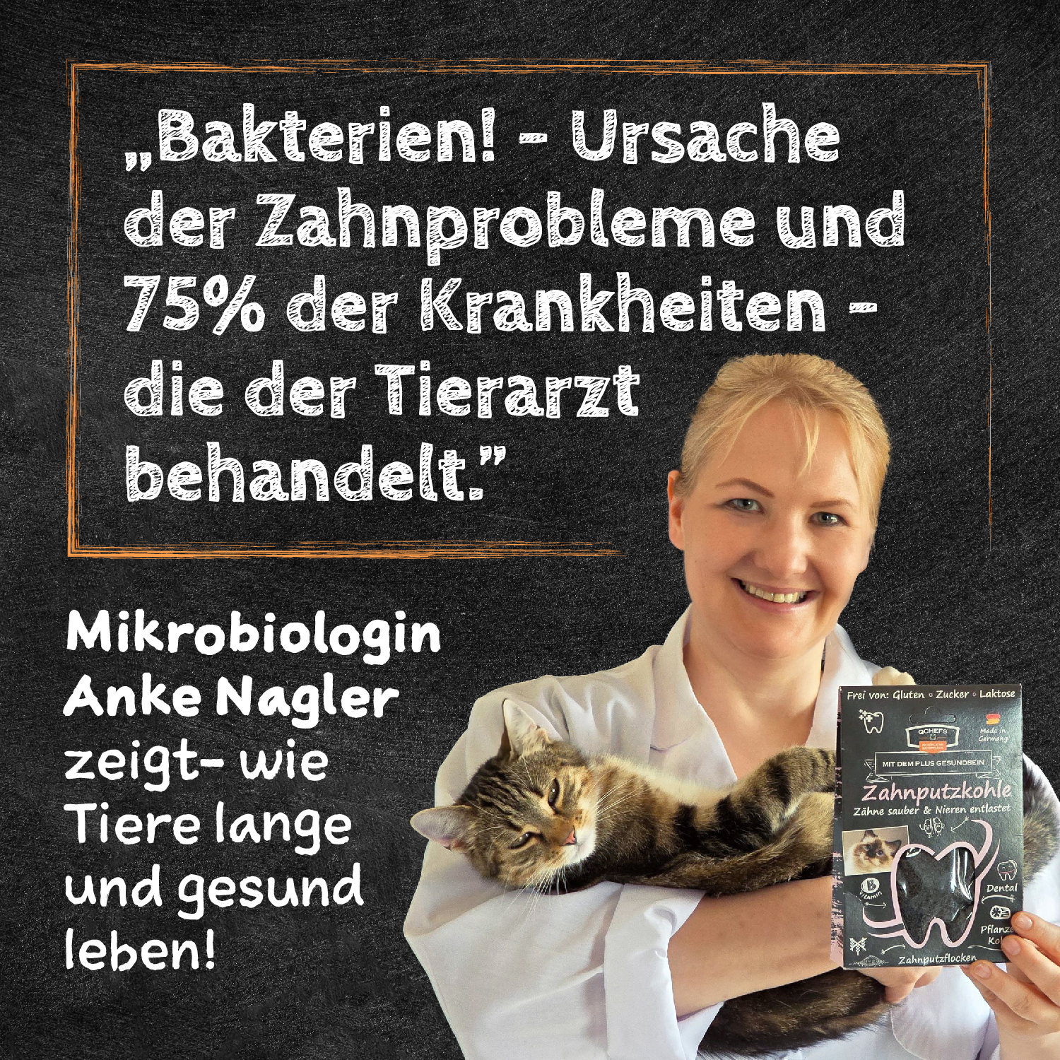 Qchefs Zahnputzkohle Katze