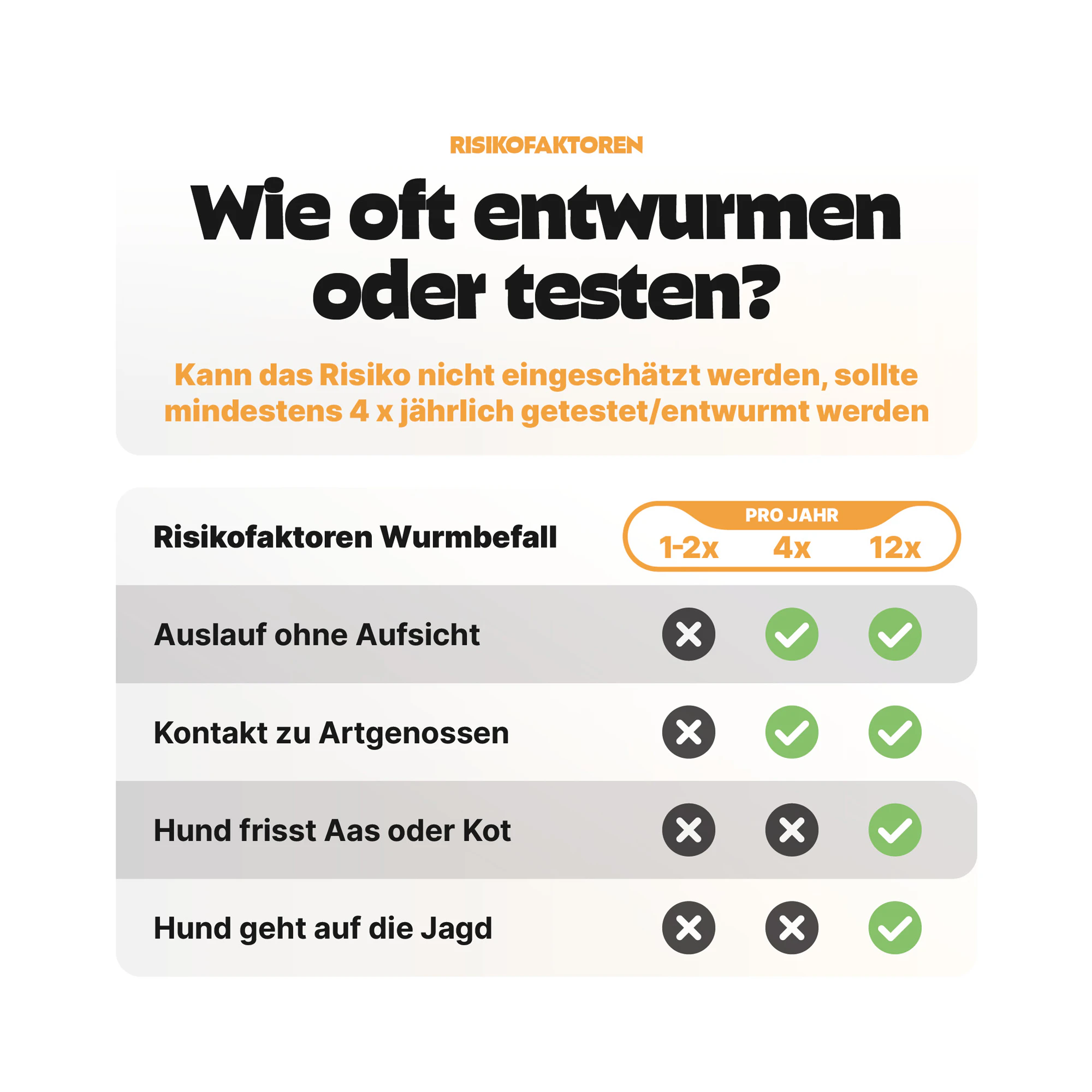 Pezz Standard Wurmtest Hund