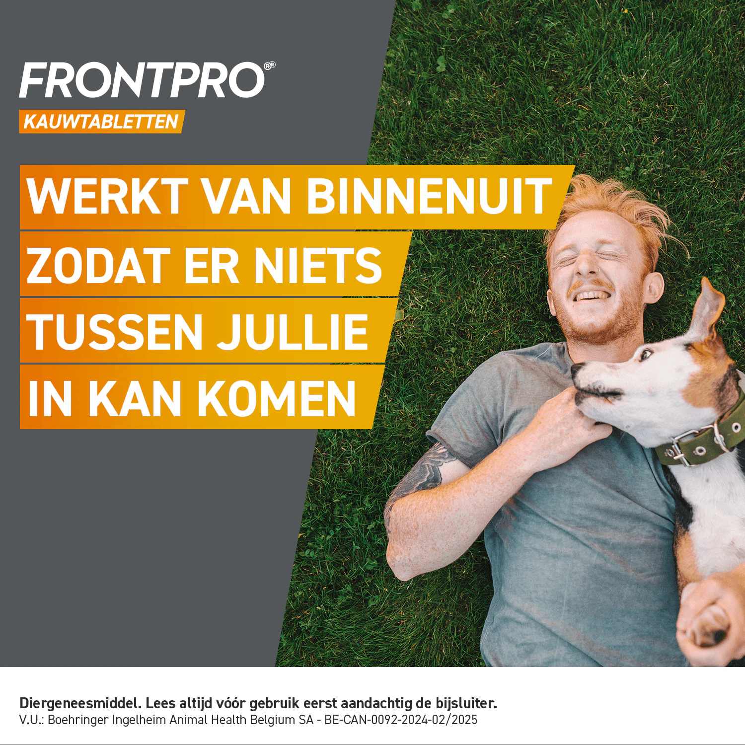 FRONTPRO Kauwtabletten Hond