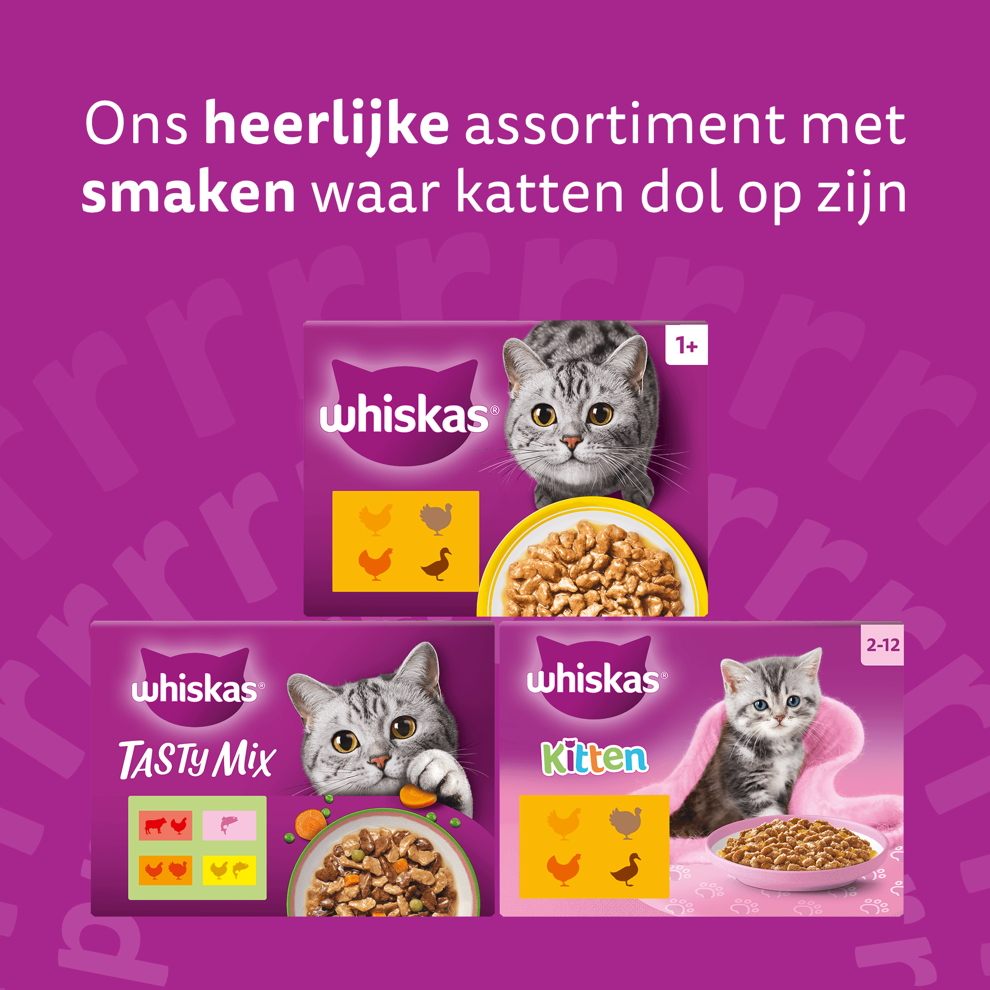 Whiskas 1+ Natvoer - Duo - Surf & Turf in Gelei