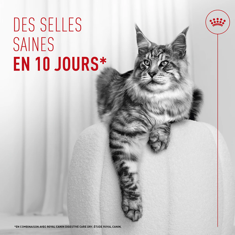 Royal Canin Digestive Care Mousse - Pour chat