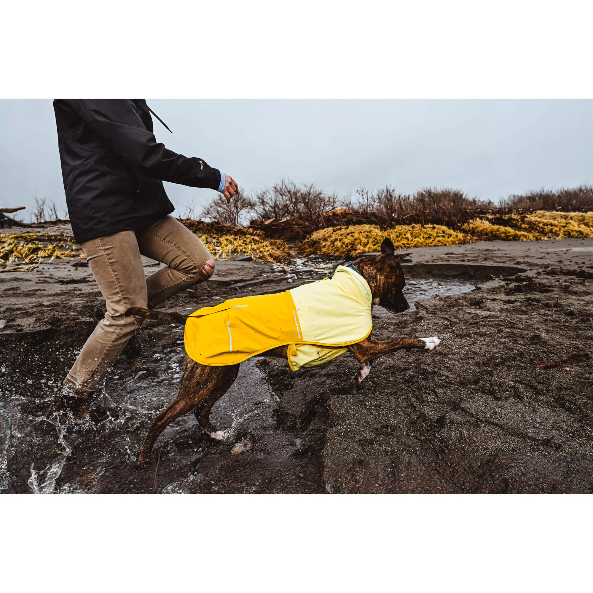 Ruffwear Sun Shower Rain Jacket