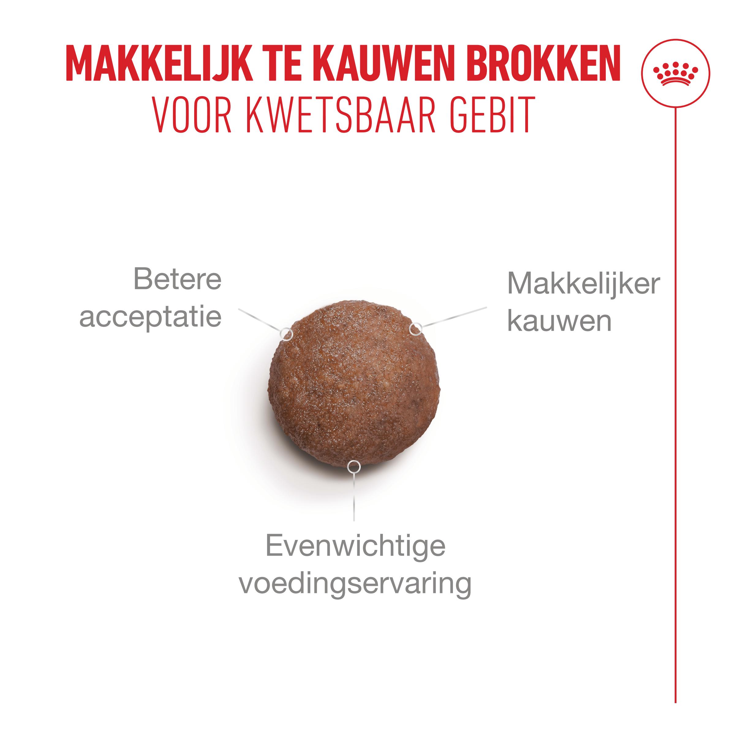 Royal Canin Ageing 15+ - Kattenvoer