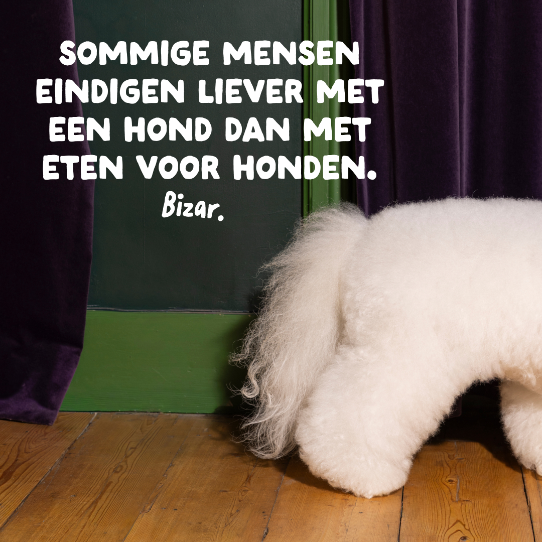 Edgard & Cooper Senior - Kip & Zalm