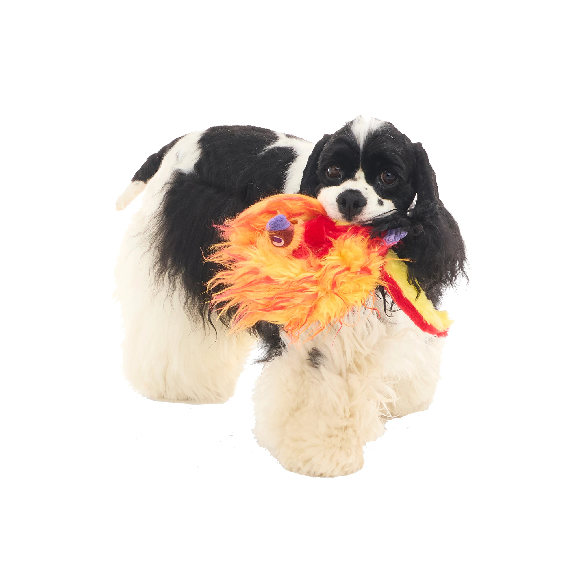 Bark Harry Potter Fawkes Cuddly Toy