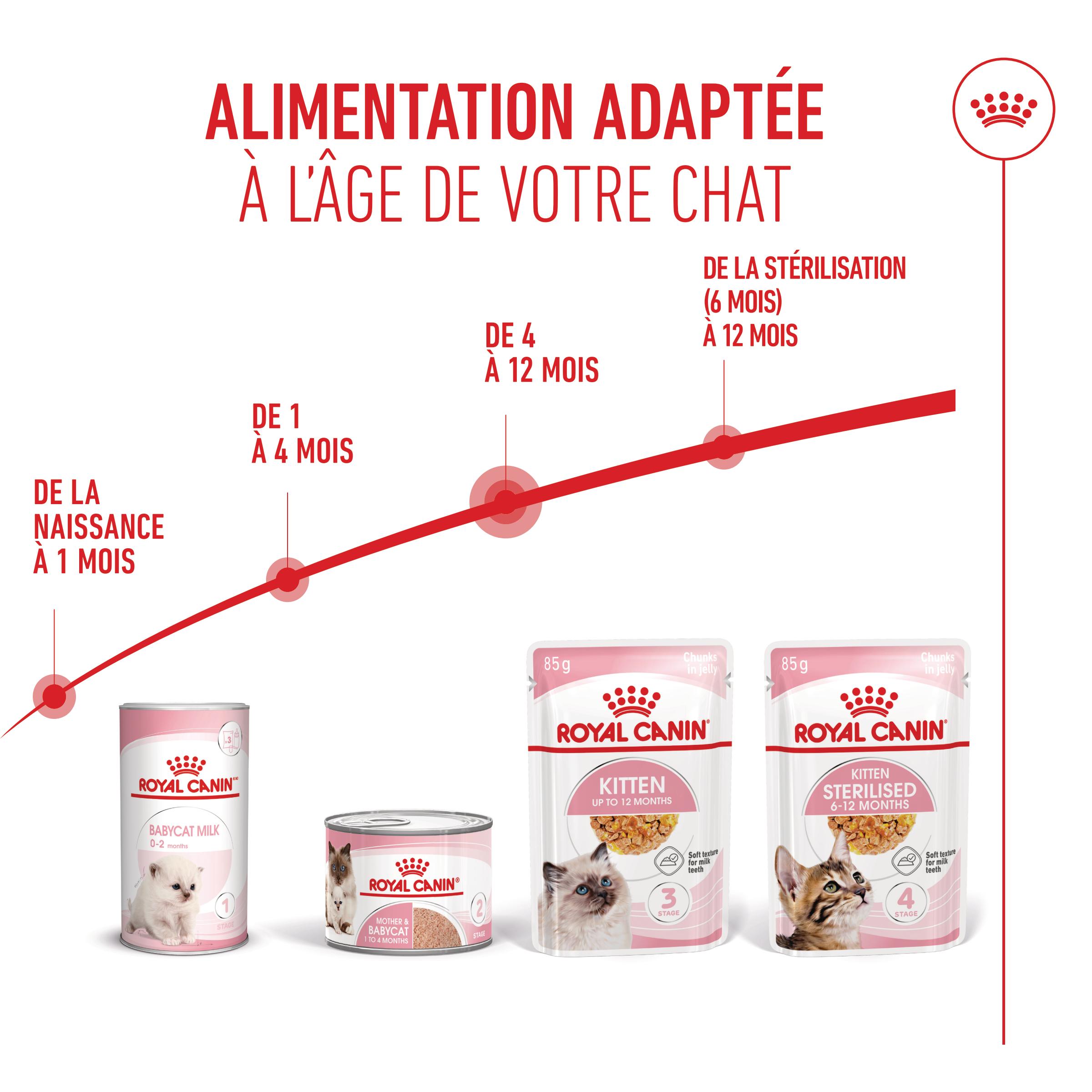 Royal Canin Kitten Jelly - Sachet