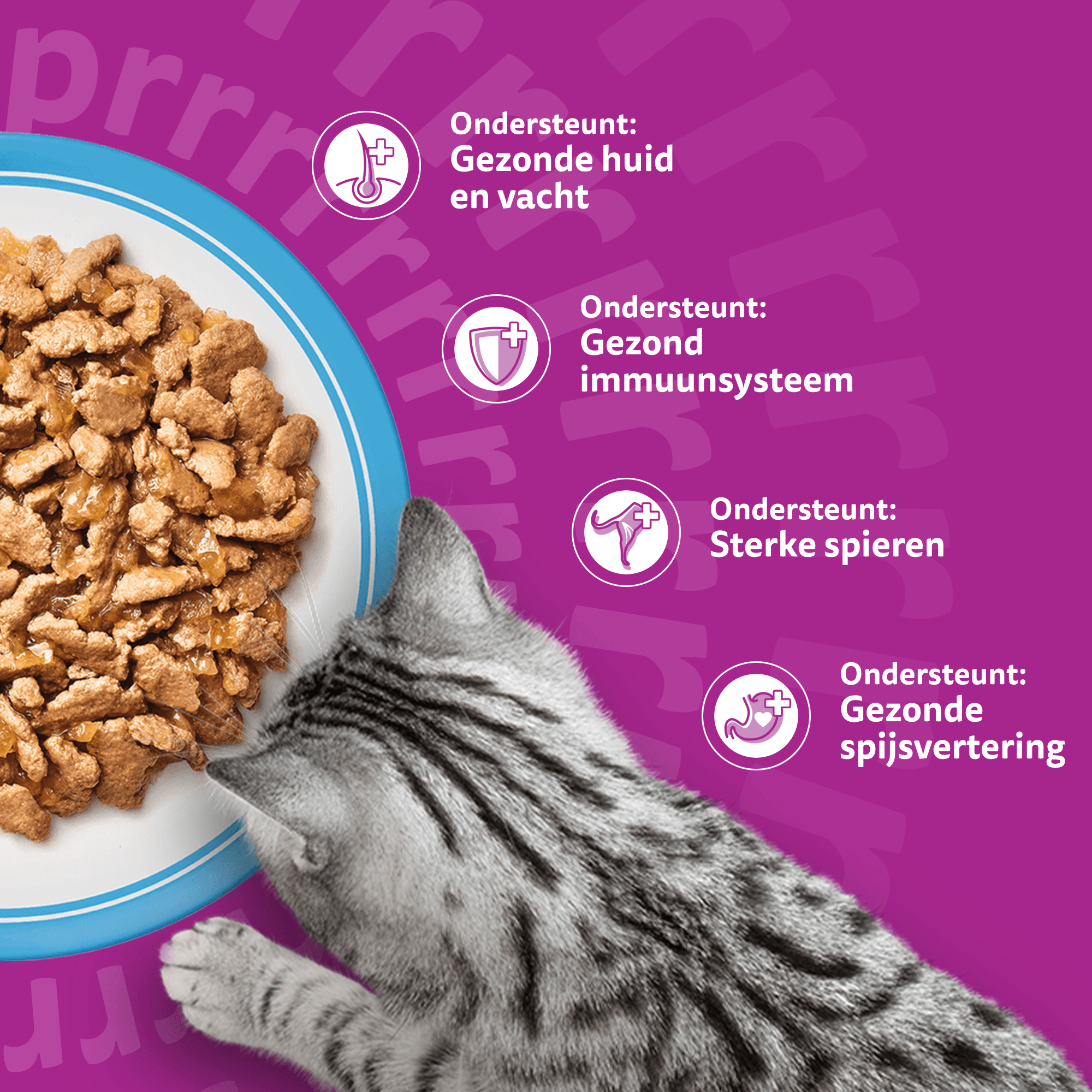 Whiskas 1+ Selectie - Multipacks
